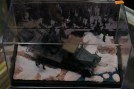 Бронирана кола Flakvierling Sd.Kfz.7/1 войници - 1:72