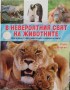 В невероятния свят на животните - Сали Морган